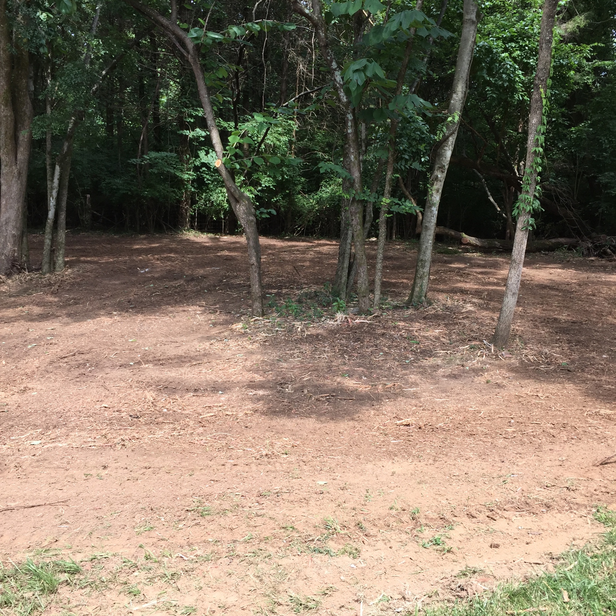 43CD7CD5-3D58-4696-844D-F01473A7167A